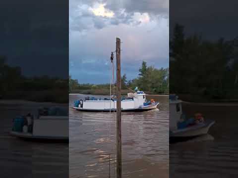 #eltigre #rioparana #turismo #lanchas #trenesargentinos #turismoaventura #tigre #turismo #casino