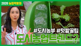 초보자도 가능! 텃밭 꿀팁 도시농업의 트렌드 여기서 확인하세요! | 2020 농업박람회