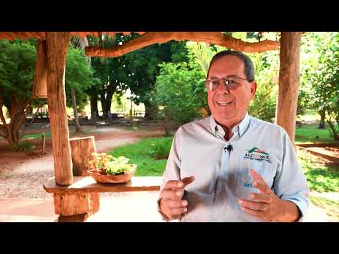 EXPEDIÇÃO MITSUBISHI TRITON KATANA: FAZENDA EM MS TRANSFORMA RECRIA A PASTO EM MODELO DE EFICIÊNCIA