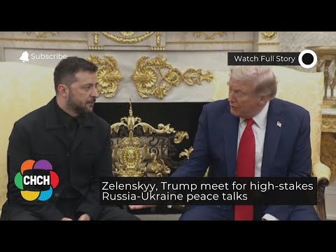 Zelenskyy, Trump report substantial progress in Russia-Ukraine peace talks