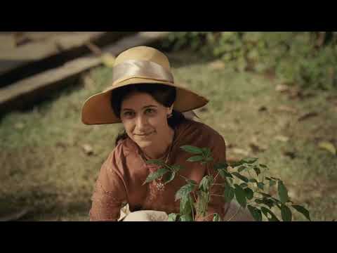 Exo UK -  Astral City -  Spirit Journey