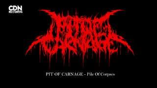 PIT OF CARNAGE - Pile Of Corpses (NEW SONG 2015)