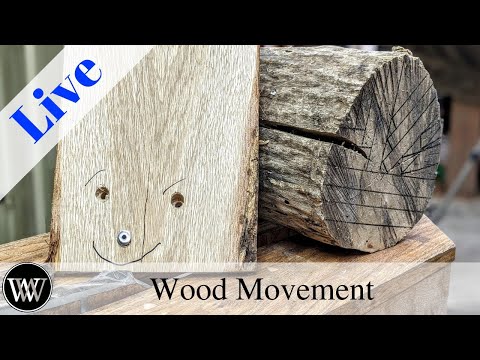 Understanding Wood Movement and How to Plan for it