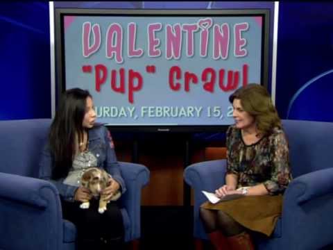 Valentine Pup Crawl on WFLA