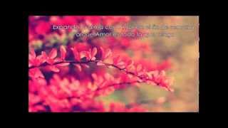 Feed Me &amp; Crystal Fighters - Love Is All I Got ( subtitulada en español )