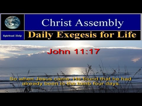 Day  482 | The Gospel of John | Daily Exegesis for Life | John 11:17