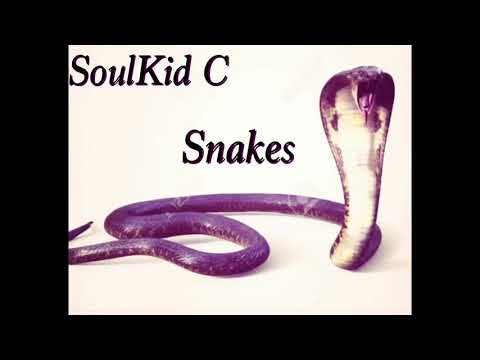 Snakes - Soulkid C