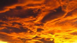 By The Shore - The Asylum Factory