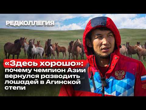 Из Нью-Йорка на озеро Ножий. Чемпион Азии разводит лошадей в Забайкалье