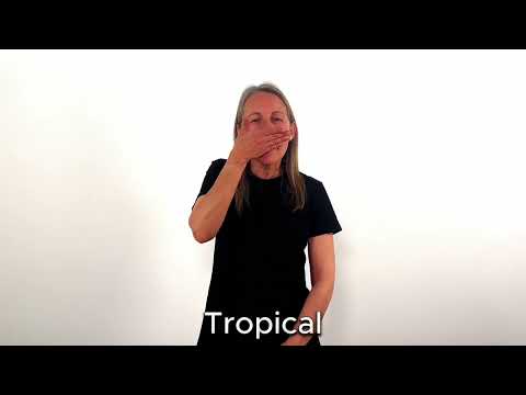Tropical - LSC