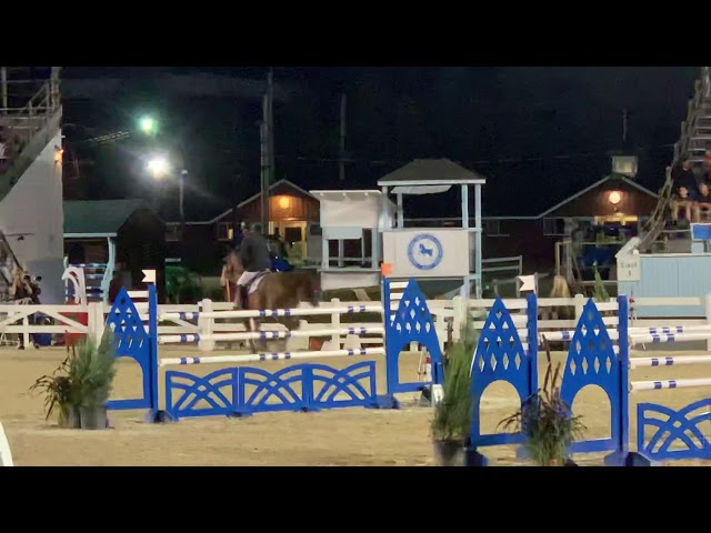 Mother is CSI 1.50m jumping mare Elryia Sitte.