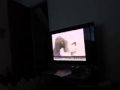 MVI 2445 Sesame Street Episodes