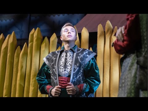 Vadim Volkov, Basmanov’s aria, from “Oprichnik” («The Guardsman») by Tchaikovsky