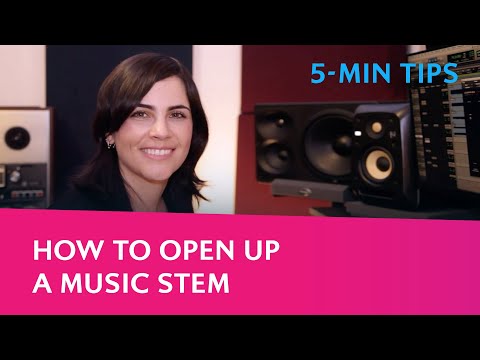 5-Min Leapwing Tips: How to open up a music stem with CenterOne