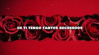 bronco - BASTA (LETRA)