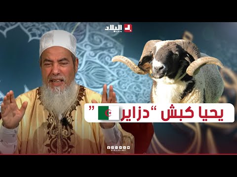 أرشدوني| الشيخ شمس الدين.. يبدي رأيه في "كباش رومانيا" شوفو واش قال عليهم