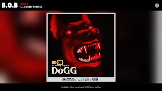 DoGG Music Video