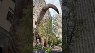🇺🇸 NYC -dinosaur pop up #nyc #dinosaur #fun #紐約 #rockefellercenter