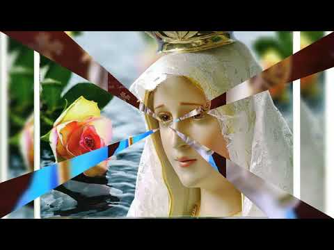 నిను వెంబడింతును మరియా.... Telugu catholic song