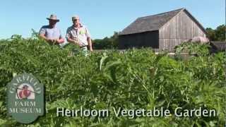 preview picture of video 'Garfield Farm Museum: Heirloom Garden Show'