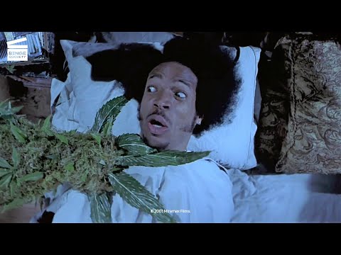 Scary Movie 2: Shorty gets smoked by his own weed (HD CLIP)
