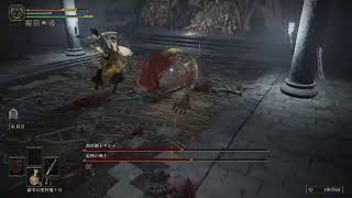 【ELDEN RING/エルデンリング】#28 ランドマーク巡り【実況】
