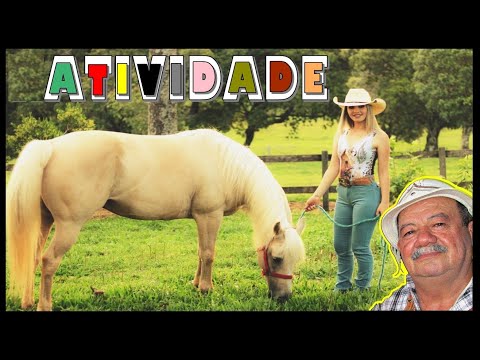 ZÉ DE ALMEIDA & JOCIVAL VIANA - ATIVIDADE (VERSÃO ORIGINAL)