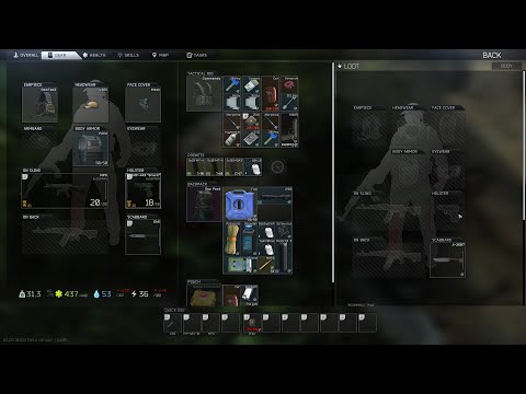 EFT COSTUMS money run patch 12.9