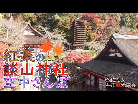 紅葉の談山神社 　桜井市観光協会（公式）
