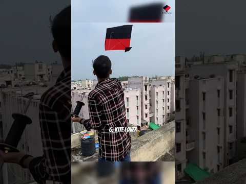 Kite Flying On 15 August. Sher🦁 | Gaurav Kite Lover #patangbazi #kiteflying #viralvideo2022