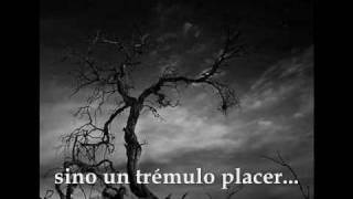 The Lake - Antony and The Johnsons (español)