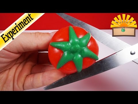 SCHLEIM TOMATE ZERSCHNEIDEN - Was steckt DARIN ? - KINDER EXPERIMENT deutsch