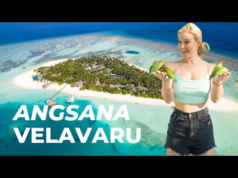 Videos del Angsana Velavaru 5★ en Dhaalu Atoll, MaldivasVer MásVerPrecios19CerrarConsulta por Whatsapp 🇦🇷BookingTripadvisorExpediaAgodaTravelocityOrbitzPricelineTripSkyscannerDespegarKayakHotelesDestiniaTrivagoTurismocityAlmundoLastminuteTuiWotif