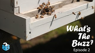 What's The Buzz With B2BGateway? | Employee Interview, New UK Office & More!