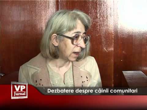 Dezbatere despre câinii comunitari