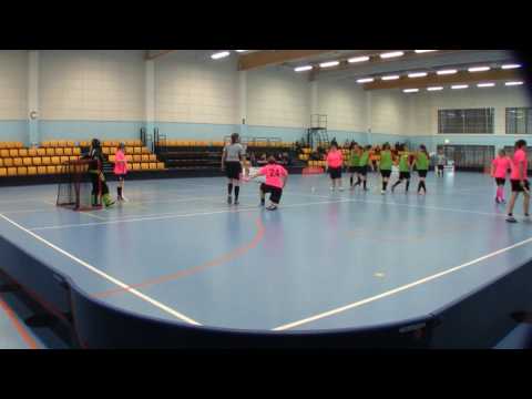 Maalikooste 10.12.2016