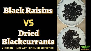 Black raisins Vs Dried Blackcurrants | काली किशमिश  Vs सूखा ब्लैककरंट | Everyday Life #225