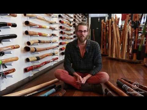 Didgeridoo Buyers Guide - Timber - 6 of 10