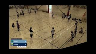 Mixed 小組 dugongs