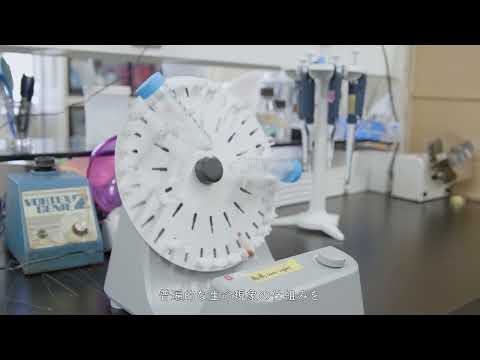 応用生物学課程 【京都工芸繊維大学】（研究紹介）応用生物学系　高木圭子 准教授