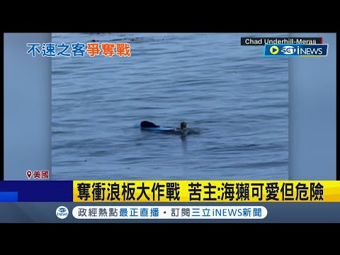 比海盜還囂張!? 美國男衝浪到一半竟被\海獺\搶劫霸佔衝浪板 雙方展開\對峙大戰\苦主被酸孩子的爹｜記者 楊駿宗｜【國際局勢】20220921｜三立iNEWS