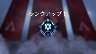 【APEX】ランクマまとめ【vol.51】