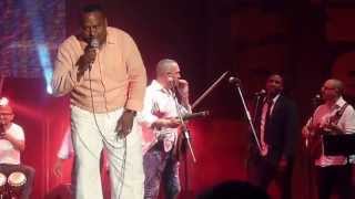 NY Salsa All Stars y Mercadonegro - "Chan Chan/ Flauta"