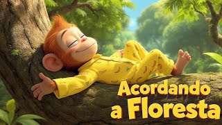 Acordando a Floresta 🐒 SabiKids - Música Infantil