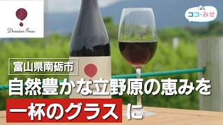Domaine Beau【ココ・みせ 2026年10月号】