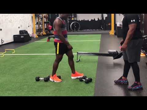 Fight camp 06/01/2019