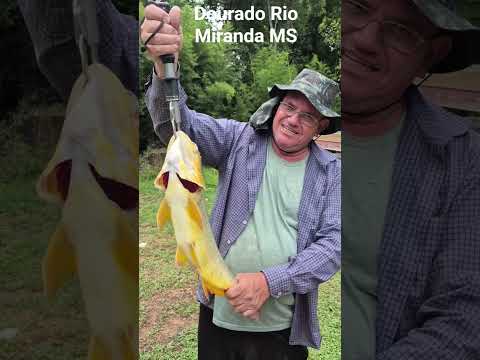 Dourado  pego no Rio Miranda MS, foi pra vida...