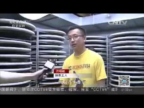 CCTV-4 拍攝文茗天然莊的台灣阿里山茶 第一集20151001－封面圖
