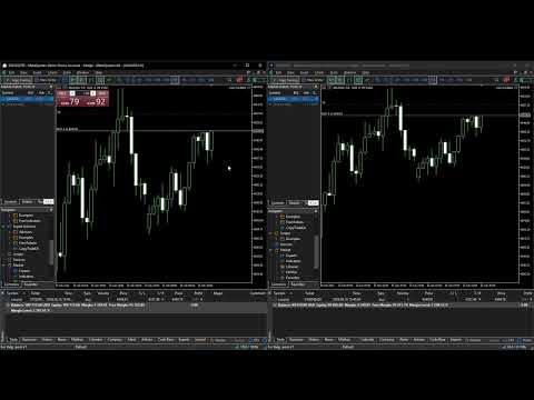 Video Fast CopyTrade LAN