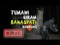 🔴 Live Streaming ! TUMAN Siram Banaspati Sombong 🔴 Live Streaming ! TUMAN Siram Banaspati Sombong